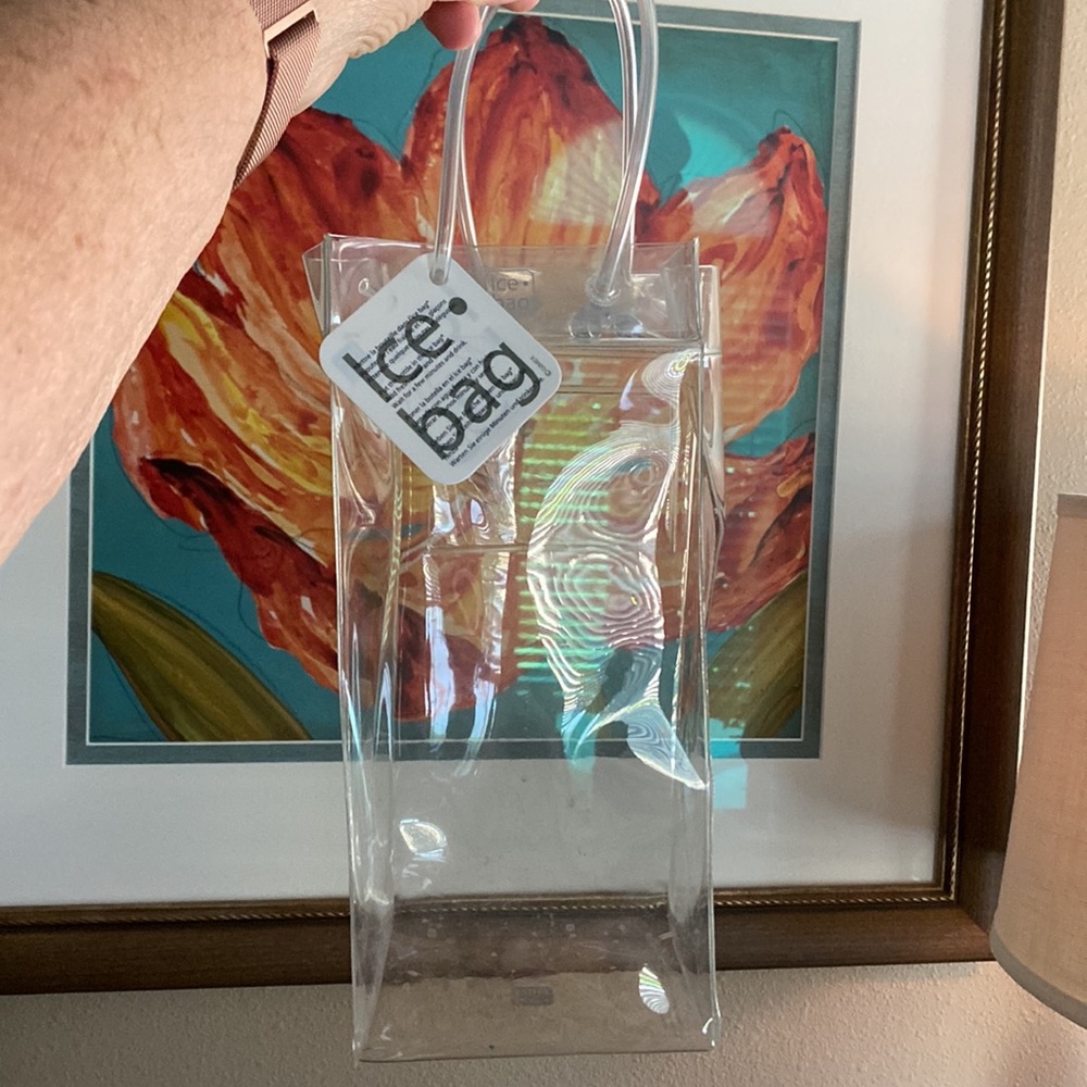 ❄️ ICE BAG ❄️ CLEAR ❄️ 10x4 and 5” handles, card slot on back for promo, NWTags